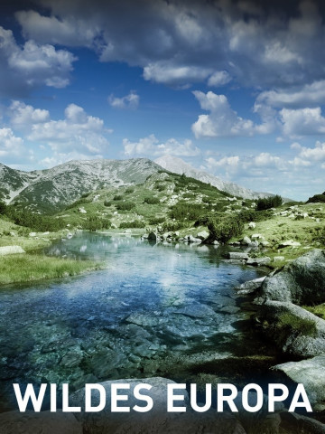 Wildes Europa (2016)