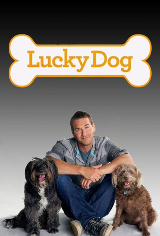 Der Hundetrainer - Lucky Dogs mit Brandon McMillan (2013)