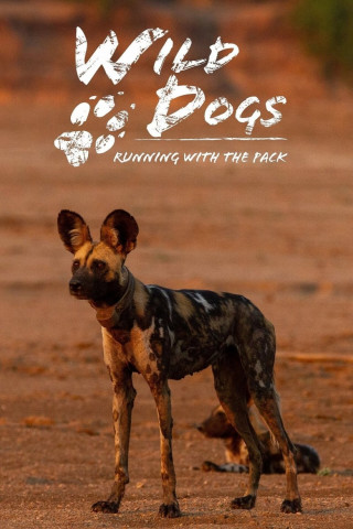 Wild Dogs: Running with the Pack (2022)