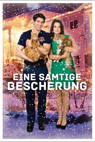 Eine Samtige Bescherung (2014): Alle Streaming-Anbieter