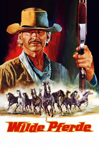 Wilde Pferde (1973)