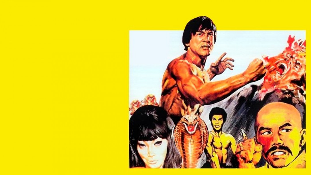 Der Meister mit den gebrochenen Händen (1973)