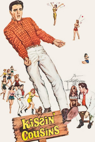 Die wilden Weiber von Tennessee (1964)