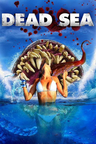 Dead Sea (2014)