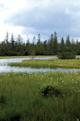 Fascinating Places (2014)