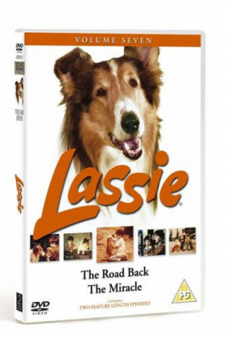 Lassie – Allein in der großen Stadt (1970)
