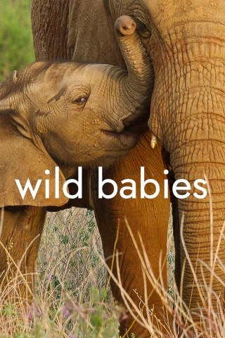 Wilde Babys (2022)
