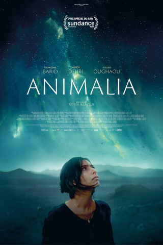 Animalia (2023)