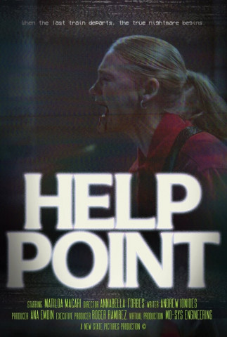 Help Point (2013)
