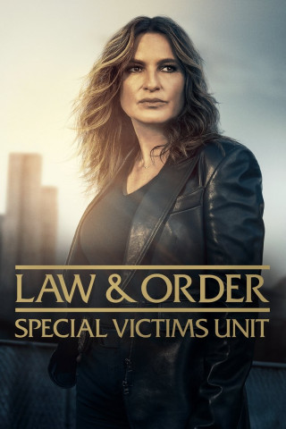 Law & Order: New York (1999)