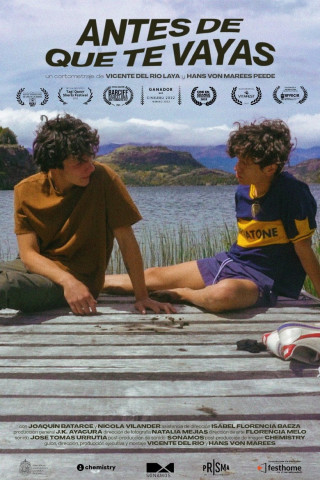 Antes de que te vayas (2022)