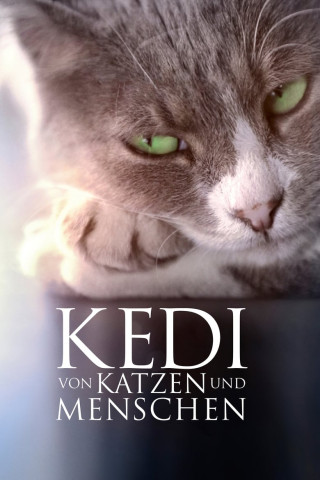 Kedi - Von Katzen und Menschen (2017)