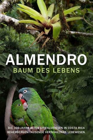 ALMENDRO - BAUM DES LEBENS (2003)