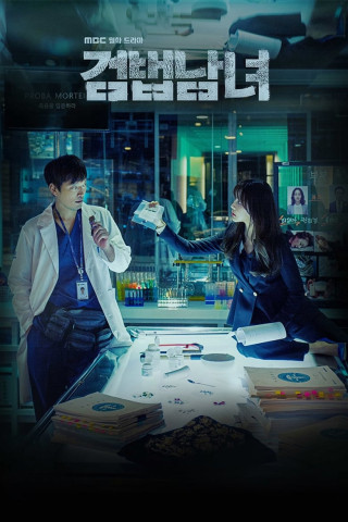 Partners for Justice (2018)