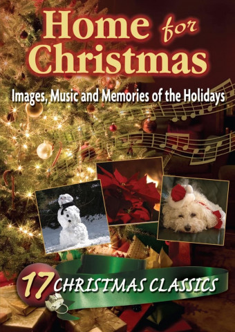 Home for Christmas (2010)