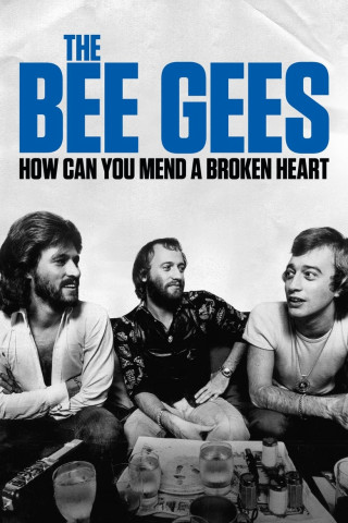 Bee Gees - Brüder im Discofieber (2020)