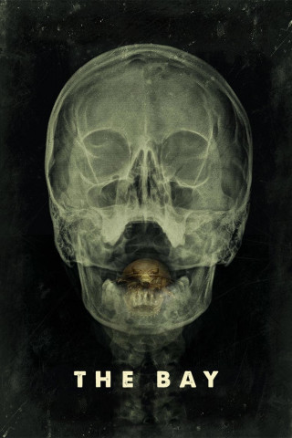 The Bay - Nach Angst kommt Panik (2012)