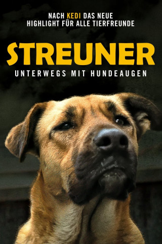 Streuner - Unterwegs mit Hundeaugen (2021)