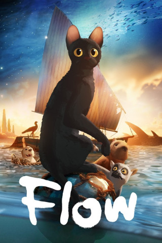 Flow (2024)