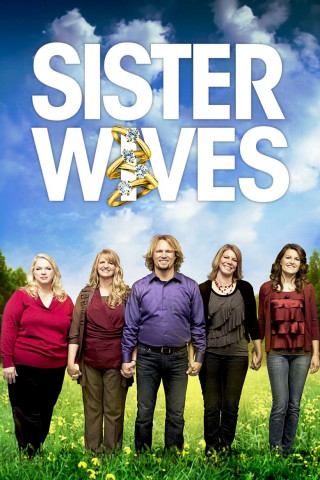 Sister Wives (2010)