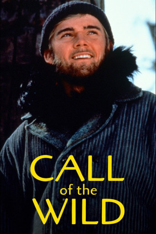 Der Ruf der Wildnis (1993)