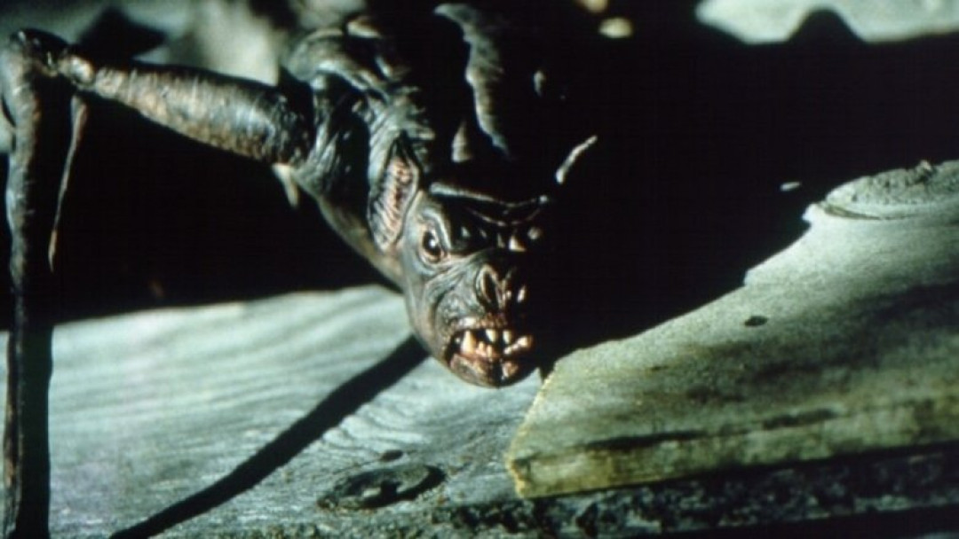 Bats - Fliegende Teufel (1999)