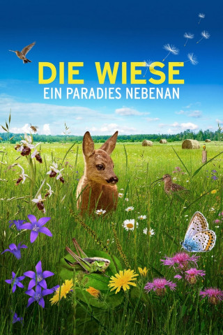 Die Wiese - Ein Paradies nebenan (2019)