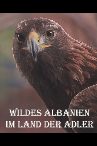 Wildes Albanien - Im Land der Adler (2016)