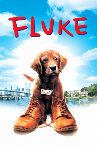 Fluke - Ein Hund räumt auf (1995)