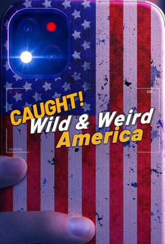Wild & Weird America (2024)