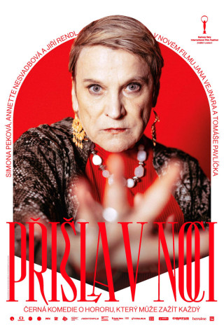 Die Schwiegermutter (2023)