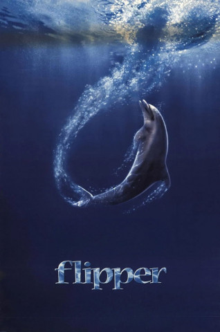 Flipper (1996)
