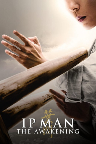 Ip Man: The Awakening (2021)