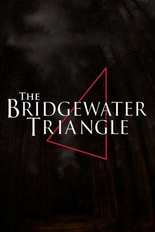 The Bridgewater Triangle (2013)